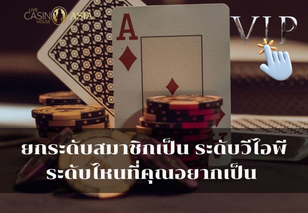 สมัครตอนนี้เพื่ออัปเกรดสู่ระดับ VIP สุดพิเศษ
