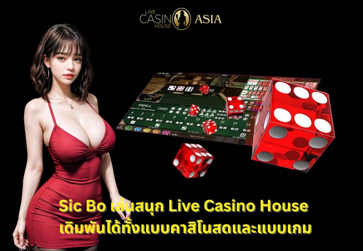 Sic Bo เพลินทุกสไตล์ เลือกเล่นสดหรือโหมดเกมได้เลย